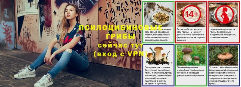 Псилоцибиновые грибы Magic Shrooms  Весьегонск 